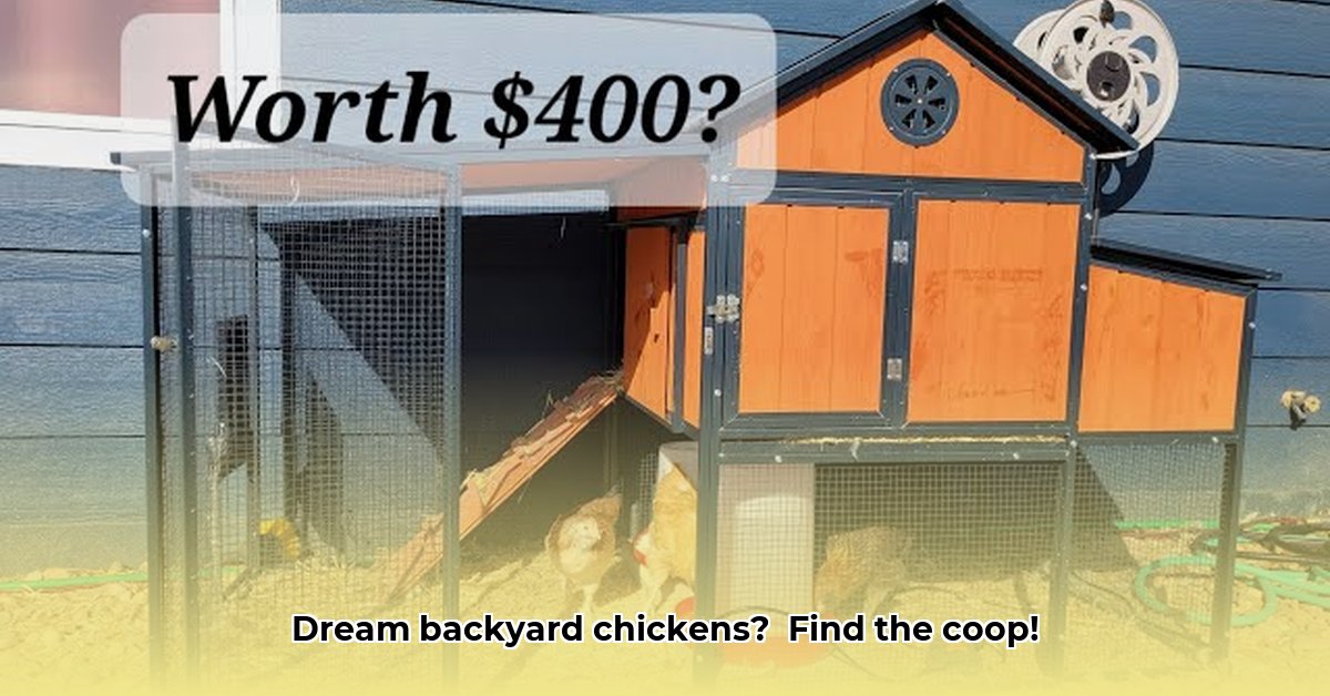 chicken-coops-at-tractor-supply